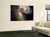 The Antennae Galaxies Wall Mural