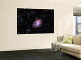The Crab Nebula Mural The Crab Nebula Mural