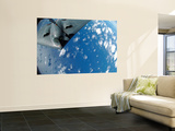 KC-135 Stratotanker Refuels B-2 Spirit Wall Mural