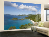 Caribbean, US Virgin Islands, St. John, Beach at Trunk Bay Wall Mural – Large par Gavin Hellier