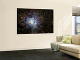 The Iris Nebula Mural