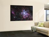 The Tarantula Nebula Wall Mural