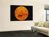 Sol Mural