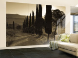 Country Road Towards Pienza, Val D' Orcia, Tuscany, Italy Wall Mural – Large por Doug Pearson Country Road Towards Pienza, Val D' Orcia, Tuscany, Italy Wall Mural – Large por Doug Pearson