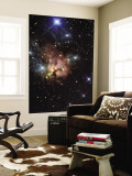 The Northern Trifid Nebula Mural The Northern Trifid Nebula Mural