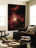 Orion's Inner Beauty Mural