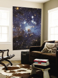 Swirls of Gas and Dust Reside in This Ethereal-Looking Region of Star Formation Mural