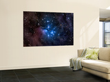 Pleiades, also known as the Seven Sisters Wall Mural