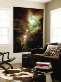 Christmas Tree Cluster Wall Mural Christmas Tree Cluster Wall Mural