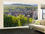 Old Wine Town of Riquewihr and Vineyard, Alsace, France Wall Mural – Large by Peter Adams
