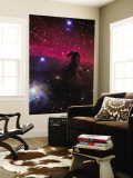 The Horsehead Nebula Wall Mural
