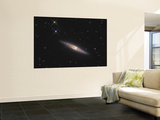 NGC 4013 is an Edge-On Unbarred Spiral Galaxy in the Constellation Ursa Major Mural NGC 4013 is an Edge-On Unbarred Spiral Galaxy in the Constellation Ursa Major Mural