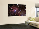 The Cone Nebula and Christmas Tree Cluster Wall Mural