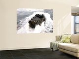 Amphibious Assault Vehicle Wall Mural