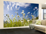 Kootenay National Park, British Columbia, Canada Wall Mural – Large by Peter Adams