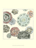 Blossom Whimsey II Pósters por Megan Meagher