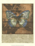 Butterfly Blossoms II Láminas por Jennifer Goldberger