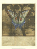Butterfly Blossoms III Pósters por Jennifer Goldberger