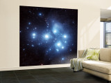Pleiades Star Cluster Wall Mural – Large Pleiades Star Cluster Wall Mural – Large