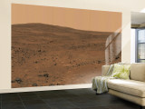 The Inner Basin of Mars Wall Mural – Large The Inner Basin of Mars Wall Mural – Large