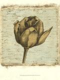 Tulip Impressions III Pósters por Ethan Harper