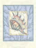 Shell Inset Composition II Póster por Jennifer Goldberger