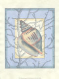 Shell Inset Composition III Láminas por Jennifer Goldberger
