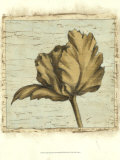 Tulip Impressions II Arte por Ethan Harper