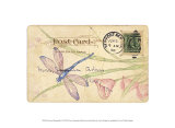 Postcard Dragonfly II Prints by Nancy Shumaker Pallan