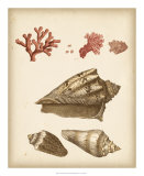 Coastal Memories II Posters