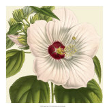 Tropical Vision I Posters
