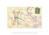 Postcard Dragonfly III Kunstdrucke von Nancy Shumaker Pallan
