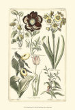 Floral Bounty III Posters