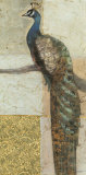 Gilded Peacock II Print