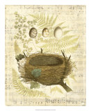 Melodic Nest and Eggs II Prints