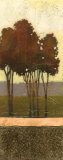 Copper Grove III Plakat