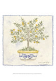 French Topiary I Posters by Nancy Shumaker Pallan