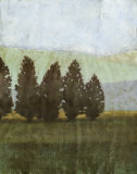 Textured Evergreen I Láminas Textured Evergreen I Láminas
