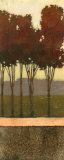 Copper Grove II Reprodukcje Copper Grove II Reprodukcje