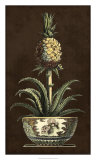 Potted Pineapple II Prints