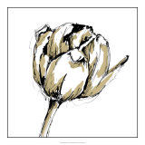 Tulip Sketch II Affiches par Ethan Harper