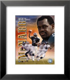 Donovan McNabb Portrait Plus  Art