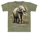 Asian Elephants T-shirts