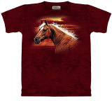 Radiant Dream Camisetas