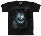 In The Mist Shirts