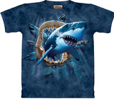 Shark Attack Shirts