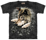 Wolf Paws Vêtements