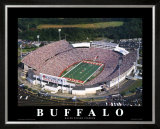 Buffalo Bills Prints by Brad Geller