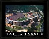 Florida State - Tallahassee, FL Print by Brad Geller