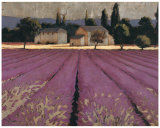 Lavender Weekend Lámina por James Wiens